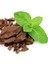 Chocolate Çikolata Kokulu Nane Fidesi (10 Adet) 1