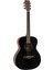 VA600 Akustik Gitar 1