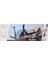 CLZ193 Nessiworld Evo Flexi 2 Tekerlekli Scooter Kırmızı 4