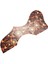 Kaplumbağa Dekorasyonu EJ200 Stil Akustik Gitar Pickguard, Kaplumbağa (Yurt Dışından) 2