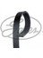 Kanalli V Kayişi (6PK1750) [ Renault Clio Ii, Kangoo 1.4 16V/1.6 16V 1998 -, Megane I 1.4 16V/1.6 16V 1999-2003, Symbol I 1.4 16V/1.6 16V 2000 - ] 18051 1