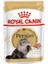 Persian Adult Pouch Kedi Maması 85 Gr 1