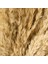 Deco Pampas Yapay Çiçek - Bej - 90X20 cm 4