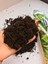 10 Litre Menekşe Torfu - Sphagnum Moss 2