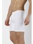 Doremi Erkek Arjantin Boxer 1