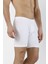 Doremi Erkek Arjantin Boxer 2