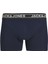 Jacpınk Flamıngo 3'lü Paket Boxer 12255833 3