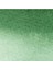 Promarker Watercolour Hooker's Green Dark 312 2