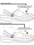 Crocs Jibbitz Terlik Süsü Hello Kitty 8 Adet 3