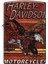 Harley Davidson Bald Eagle Dizayn Çakmak 2