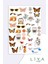 6'lı Sticker Planner Ajanda Bullet Journal Için Uygun Set 2