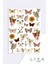 6'lı Sticker Planner Ajanda Bullet Journal Için Uygun Set 4