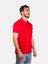 Unisex Standart Kesim Polo Yaka Kısa Kollu Lakost Tişört 2