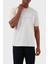Pamuklu Regular Fit Bisiklet Yaka T-Shirt 3D1T89 1Jwzz 0646 5