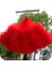 Açık Pembe Tarzı 1 Metre 28CM Geniş Beyaz Kırmızı Pembe Ruffled Tül Trim 17 Renk Pileli Örgü Dantel Trim Tutu Elbise Kumaşı Dıy Bebek Elbise Kumaşı (Yurt Dışından) 2