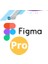 Professional - 1 Pc 2 Yıl Premium Hesap 1
