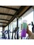 Motivasyon Matarası Su Matara Okul Suluk Pipetsiz Su Şişesi Sporcu Suluğu Çift Renk Sızdırmaz 800 cc 5