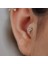 Taşlı Tragus 2