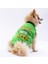 Yeşil Travel Kedi Köpek Tişörtü 1