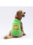 Yeşil Summer Time Büyük Köpek Tişörtü 15 kg 45 kg 1