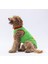 Yeşil Summer Time Büyük Köpek Tişörtü 15 kg 45 kg 3
