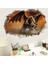 No.11 Tarzı 3D Canlı Dinozor Duvar Çıkartmaları Çocuk Odası Yatak Odası Ev Dekorasyon Hayvan Duvar Sanatı Diy Çıkartması Posteri (Yurt Dışından) 4