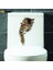 XP2004 Stili Sunchamo Sevimli Kedi 3D Kırık Tuvalet Etiket Duvar Çıkartmaları Buzdolabı Araba Koltuğu Dıy Oturma Banyo Odası Ev Dekor Wallstickers Yatak Odası (Yurt Dışından) 4