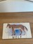 Ingilizce Hayvanlar Öğrenme Eşleme Puzzle Kartı, Puzzle Eğitici Oyuncak, Montessori Eğitim Oyuncak 5