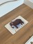 İngilizce Hayvanlar Öğrenme Eşleme Puzzle Kartı, Puzzle Eğitici Oyuncak, Montessori Eğitim Oyuncak 3
