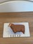 İngilizce Hayvanlar Öğrenme Eşleme Puzzle Kartı, Puzzle Eğitici Oyuncak, Montessori Eğitim Oyuncak 5