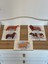 Ingilizce Hayvanlar Öğrenme Eşleme Puzzle Kartı, Puzzle Eğitici Oyuncak, Montessori Eğitim Oyuncak 2