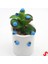 Uğur Böceği Ahşap Sticker, 1,5cm x 1,2cm x 15 Adet - Mavi 5