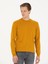 Erkek Sarı Slim Fit Bisiklet Yaka Triko Kazak 50270174-VR044 3