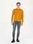 Erkek Sarı Slim Fit Bisiklet Yaka Triko Kazak 50270174-VR044 4