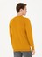Erkek Sarı Slim Fit Bisiklet Yaka Triko Kazak 50270174-VR044 5