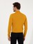 Erkek Sarı Slim Fit Yarım Balıkçı Basic Triko Kazak 50257711-VR044 5
