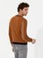 Erkek Açık Kahverengi Slim Fit Bisiklet Yaka Triko Kazak 50259623-VR002 5