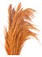 Deco Pampas Yapay Çiçek - Turuncu - 90X20 cm 3