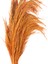 Deco Pampas Yapay Çiçek - Turuncu - 90X20 cm 4