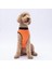 Turuncu Sunrise Büyük Köpek Tişörtü - Köpek Kıyafeti (15 Kg-45 Kg) 3xl 3