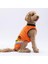 Turuncu Sunrise Büyük Köpek Tişörtü - Köpek Kıyafeti (15 Kg-45 Kg) 4xl 2