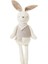 Coco Rabbit Doll Çocuk Oyuncakları Kısa Peluş Uyuyan Bebek (Yurt Dışından) 2