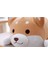 18 cm Sevimli Şişman Shiba Inu Peluş Oyuncak Dolması Yumuşak Kawaii Hayvan Doll (Yurt Dışından) 2