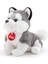 Puppy Husky Peluş TUDE7000 1