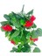 Yapay Çiçek Sarkan Sardunya 80CM Canlı Kırmızı 2