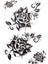 Geçici Gül Figürlü Dövme Tattoo 1