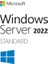 Windows Server 2022 Standard 1