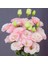 Katmerli Sugar Pink Lisianthus Çiçeği Fidesi (10 Adet) 1