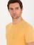 Erkek Hardal Bisiklet Yaka Slim Fit T-Shirt 50265869-VR072 2