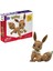 Construx Pokemon Jumbo Eevee GMD34 3